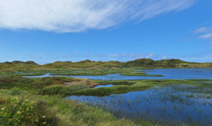 5117 Duinen Terschelling