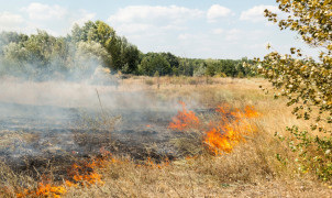 shutterstock_770522431